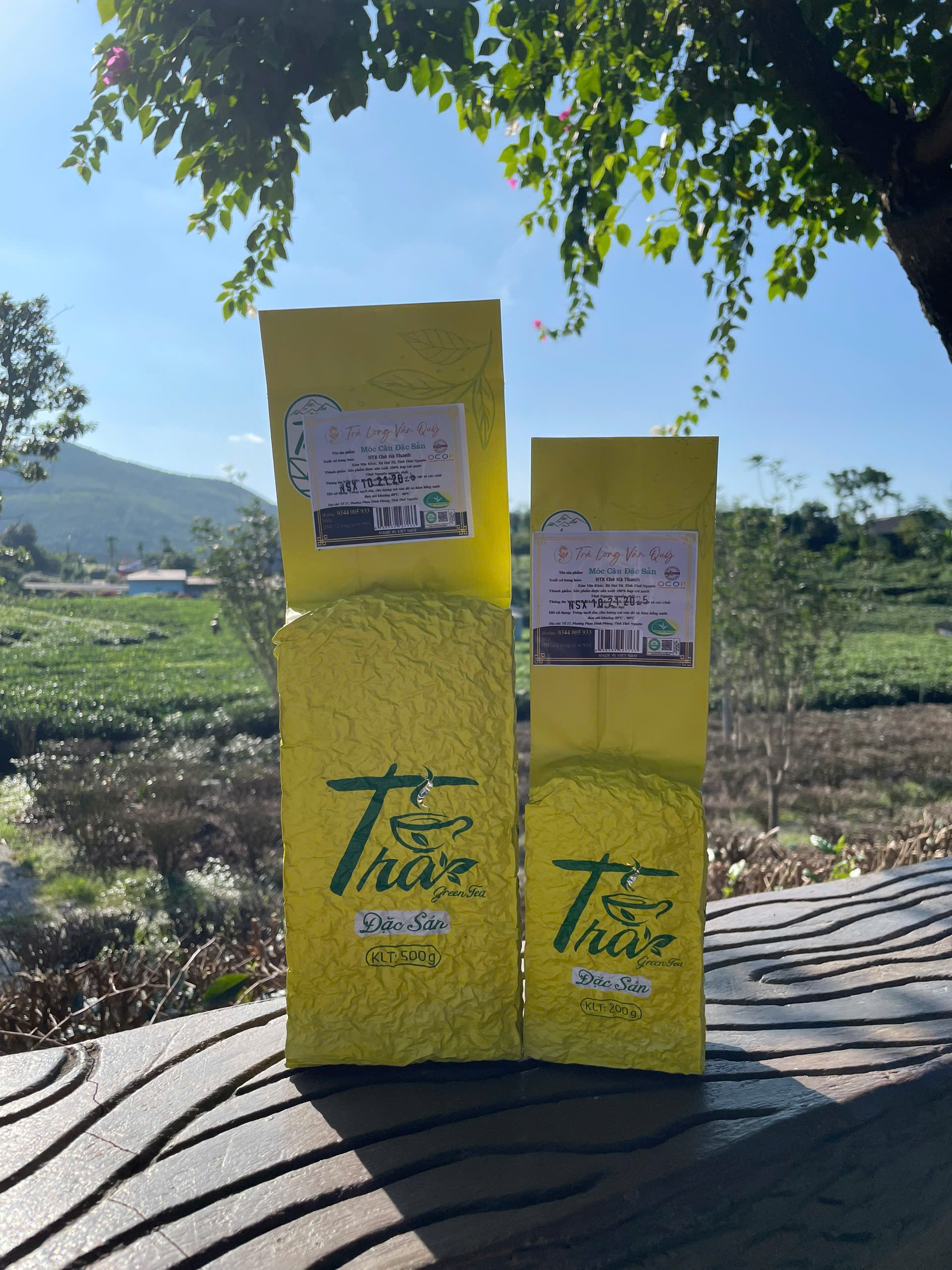 Trà Cổ Thụ Thượng Hạng