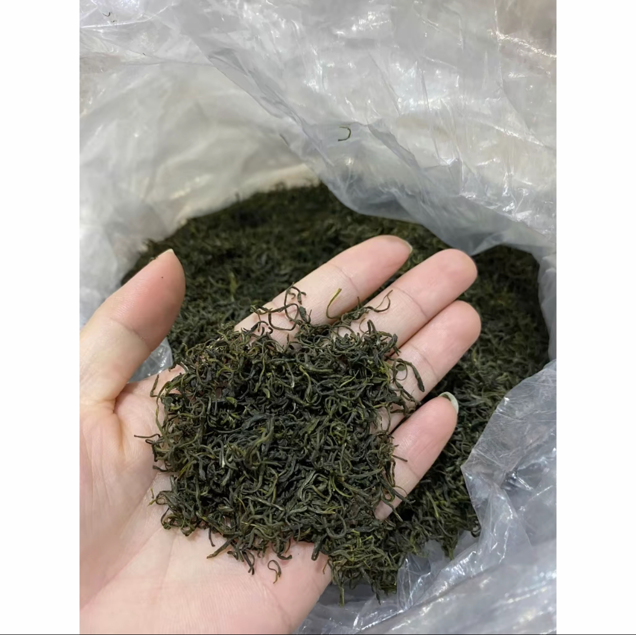 Trà Móc Câu Cao Cấp Thái Nguyên - Trà Long Vân Quý - Ảnh 3